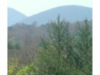 3 Leighs Crossing, Cleveland, GA 30528 