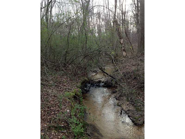 0 Paul Smith Road, Covington, GA 30014 