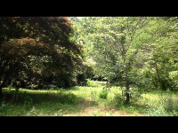 12900 Birmingham Highway, Milton, GA 30004 