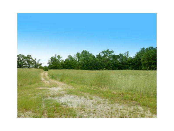 0 Maple Tree Road, Hartwell, GA 30643 