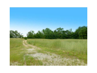 0 Maple Tree Road, Hartwell, GA 30643 