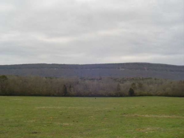 0 Highway 337 Highway, La Fayette, GA 30728 