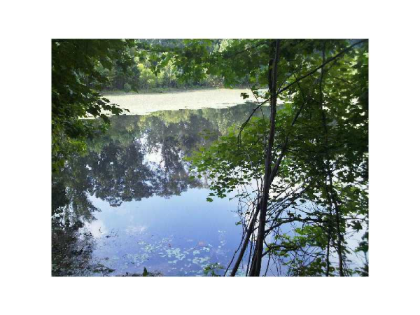 463 Puckett Terrace Sw, Lilburn, GA 30047 