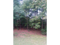 0 Buford Dam Road, Cumming, GA 30041 