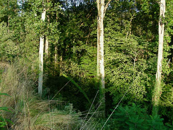 3813 Briarcliff Road Ne, Atlanta, GA 30345 