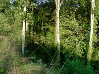 3813 Briarcliff Road Ne, Atlanta, GA 30345 