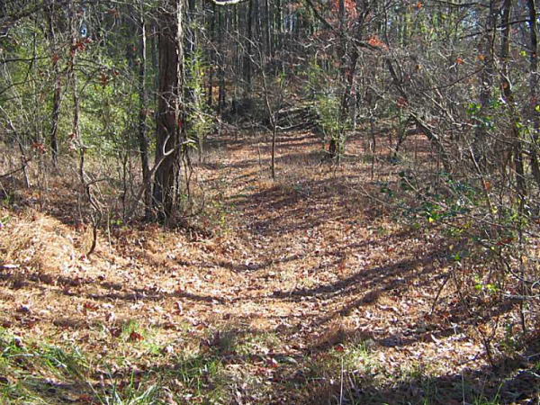 1 Soap Creek Road, Ball Ground, GA 30107 