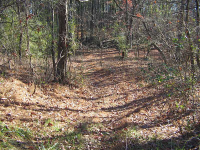 1 Soap Creek Road, Ball Ground, GA 30107 