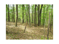 1448 Prospect Road, Lawrenceville, GA 30043 