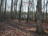 0 E Paulding Drive, Dallas, GA 30157 