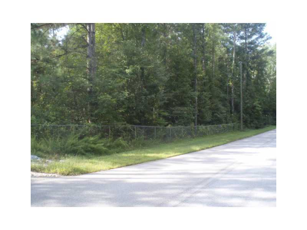 0 Peg Cole Bridge Trail, Villa Rica, GA 30180 