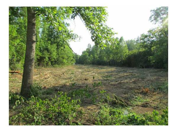 0 Dixon Road, Canton, GA 30114 