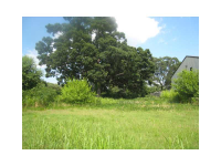 379 N Clarendon Avenue, Avondale Estates, GA 30079 