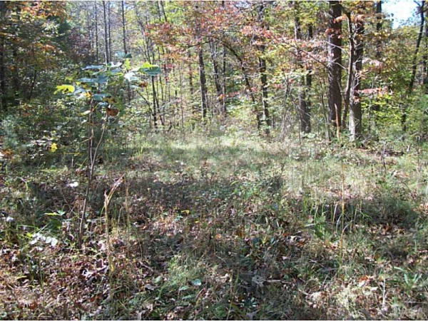 16 Chestatee River Estates, Dahlonega, GA 30533 