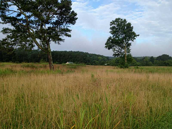 14 Etowah Downs, Ball Ground, GA 30107 