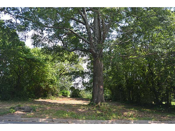 409 Roselane Street, Marietta, GA 30064 