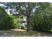 409 Roselane Street, Marietta, GA 30064 