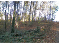 6501 Victory Drive, Acworth, GA 30102 