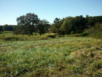 8945 Old Federal Road, Ball Ground, GA 30107 