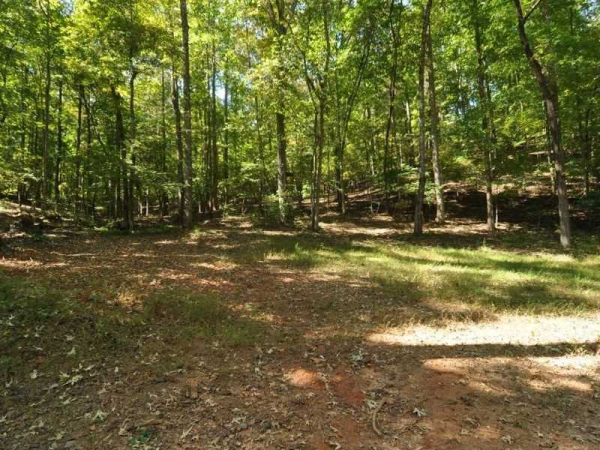 0 Tract 2a And 1c Long Branch Road, Dahlonega, GA 30533 
