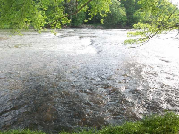 35 Paradise Park Road, Cornelia, GA 30531 