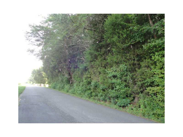 0 Olive Vine Church Road, Rydal, GA 30171 