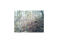 0 Robinson Smith Road, Crandall, GA 30711 