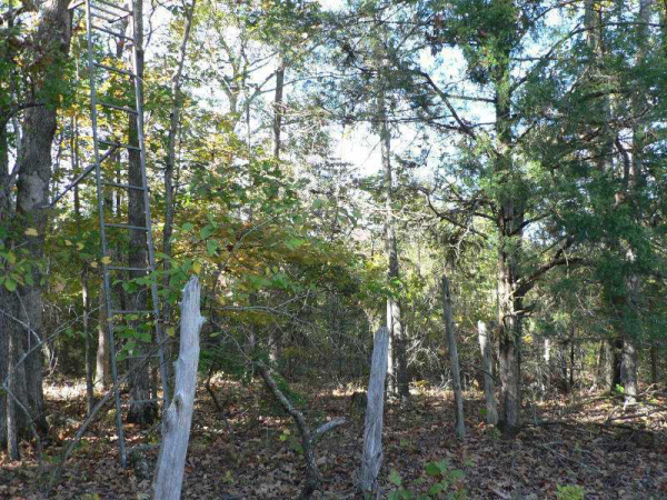 1700 Johnson Road, Conyers, GA 30094 