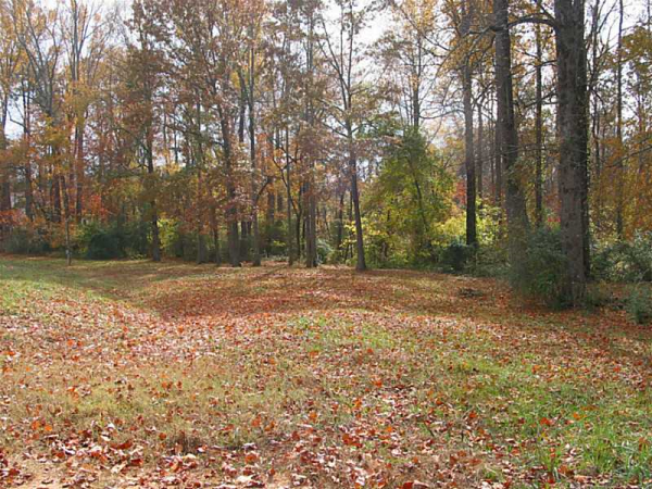 7235 Williams Road, Flowery Branch, GA 30542 