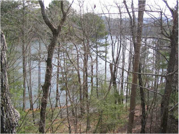 Unit 443a - 178 Chestnut Rise, Big Canoe, GA 30143 