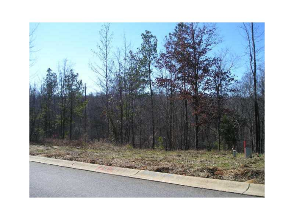 5821 Yoshino Cherry Lane, Braselton, GA 30517 