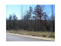 5821 Yoshino Cherry Lane, Braselton, GA 30517 