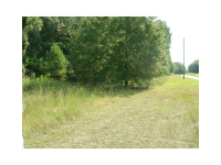 0 W Main Street, Rutledge, GA 30663 