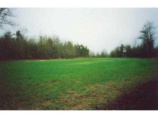 6 Old County Road, Bartow, GA 30413 