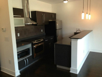 Unit 221 - 1300 Dekalb Avenue, Atlanta, GA 30307 