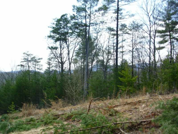 401 Celie Ann Seabolt Road, Cleveland, GA 30528 