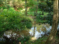 0 E W H Hayes Road E, Jefferson, GA 30549 