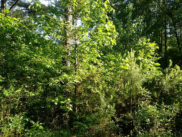 1830 Pitner Road, Acworth, GA 30101 