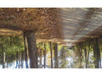 545 Collett Drive Lot 1 Wood Duck Landing, Canton, GA 30115 