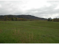 0 Wilson Road, Murrayville, GA 30564 