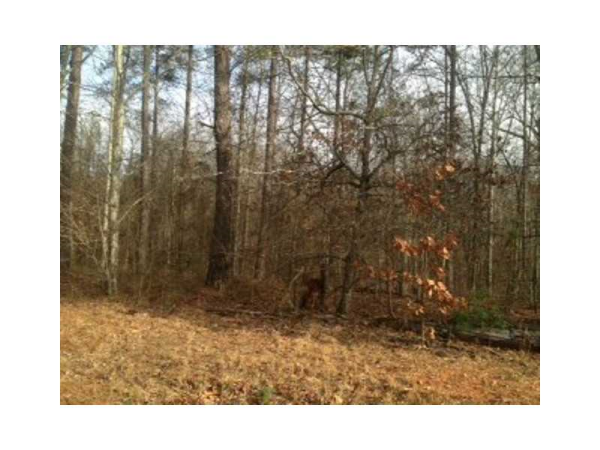 121 Acres Hwy 5 Flint Road, Douglasville, GA 30135 