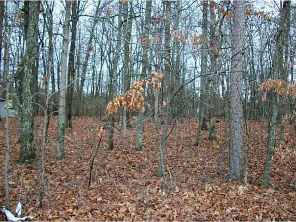 3930 Floyd Road, Austell, GA 30106 