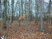 3930 Floyd Road, Austell, GA 30106 