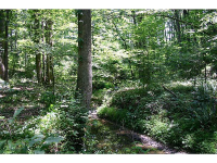 0 Twin Branches Drive, Woodstock, GA 30188 