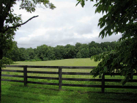 0 Wilkie Road, Alpharetta, GA 30004 