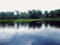 31006 NOCATEE TRL, Sorrento, FL 31006 