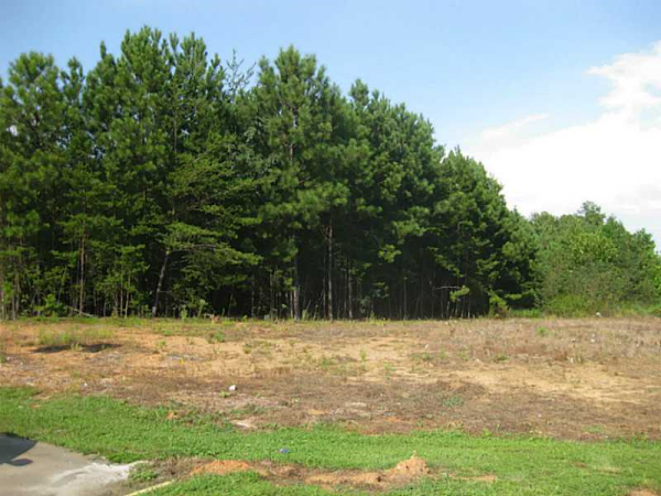 0 Browns Bridge Road, Gainesville, GA 30506 