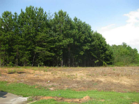 0 Browns Bridge Road, Gainesville, GA 30506 