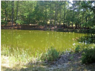 0 Satterfield Road, Adairsville, GA 30103 