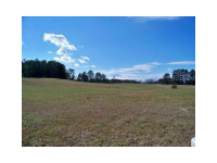 0 Mount Olivet Road, Dallas, GA 30132 